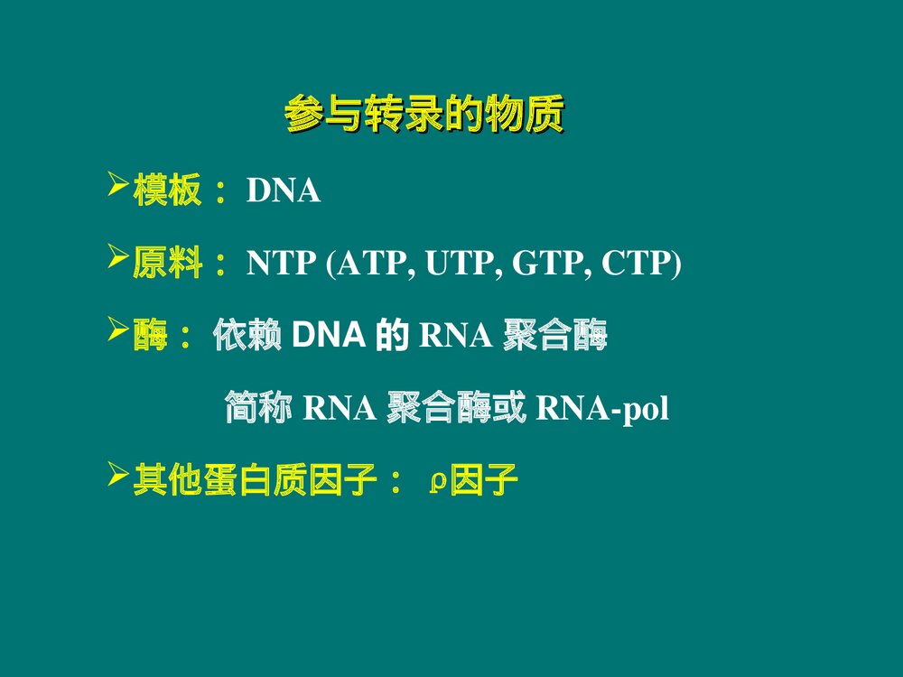 生物化学 第11章 RNA的生物合成PPT课件下载6