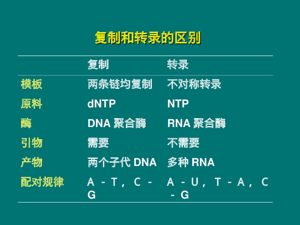 生物化学 第11章 RNA的生物合成PPT课件下载8