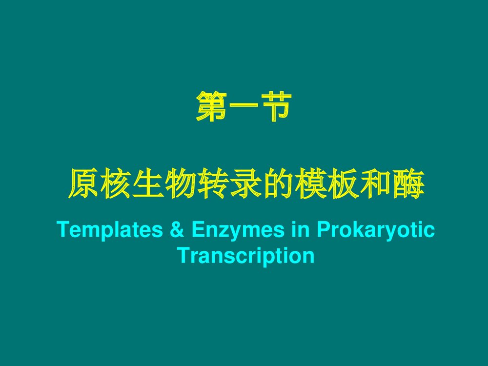 生物化学 第11章 RNA的生物合成PPT课件下载9
