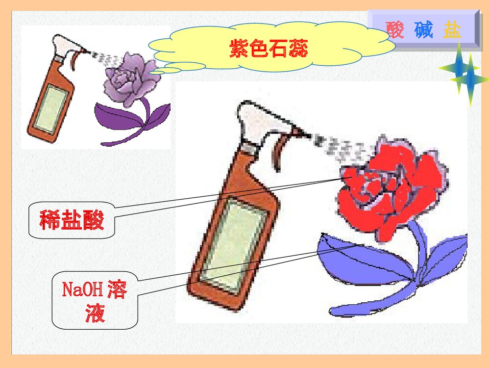 初三化学·酸碱盐溶解总复习PPT课件下载4