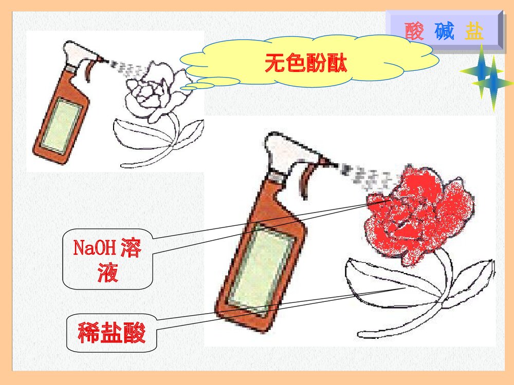 初三化学·酸碱盐溶解总复习PPT课件下载5