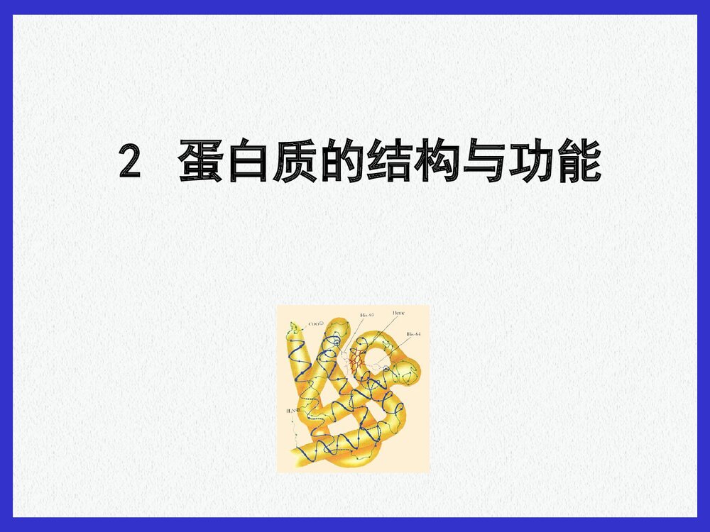 基础生物化学蛋白质的结构与功能PPT课件下载1