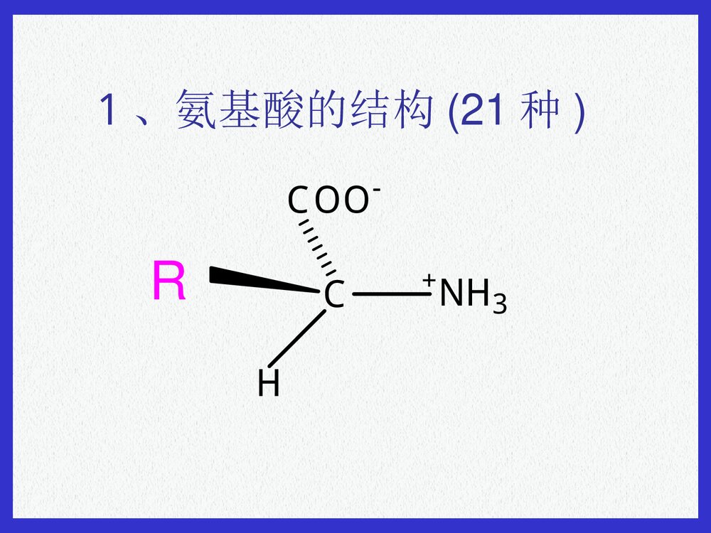 基础生物化学蛋白质的结构与功能PPT课件下载7