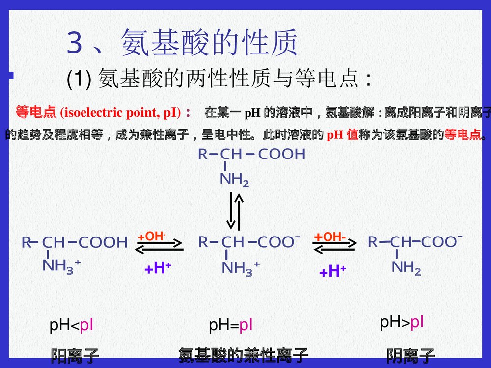 基础生物化学蛋白质的结构与功能PPT课件下载9