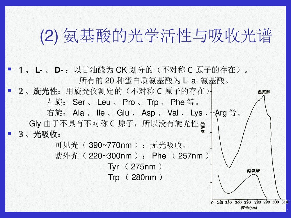 基础生物化学蛋白质的结构与功能PPT课件下载10