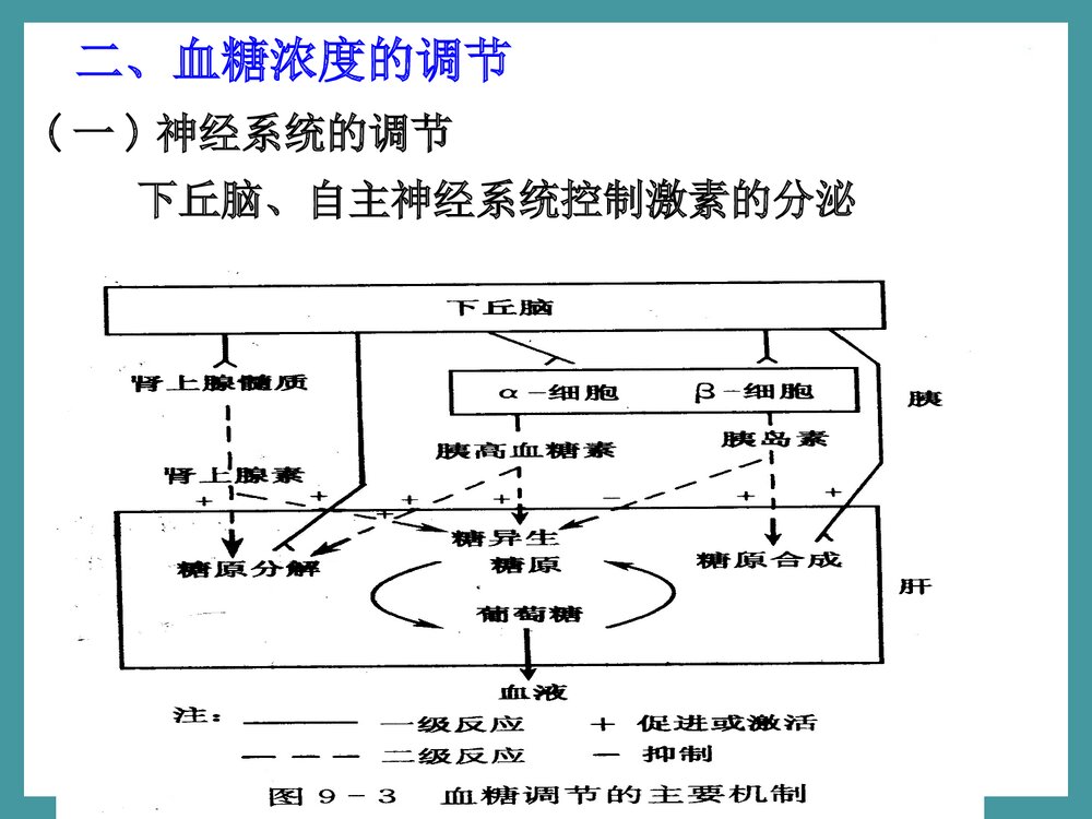 生物化学检验·第三章·糖代谢紊乱PPT课件下载8