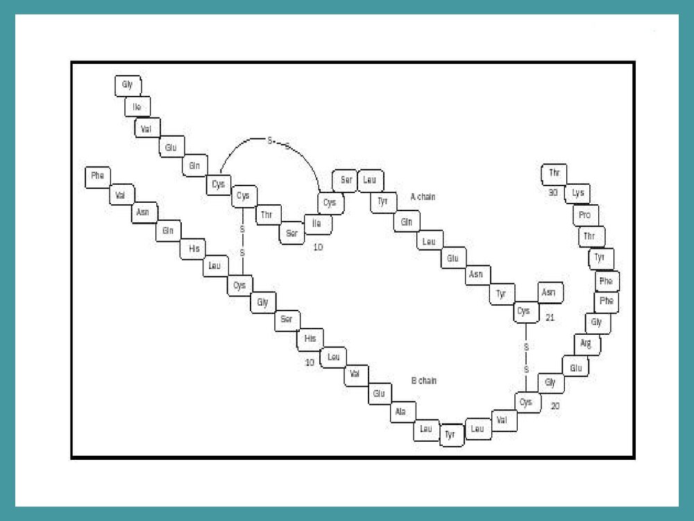 生物化学检验·第三章·糖代谢紊乱PPT课件下载10