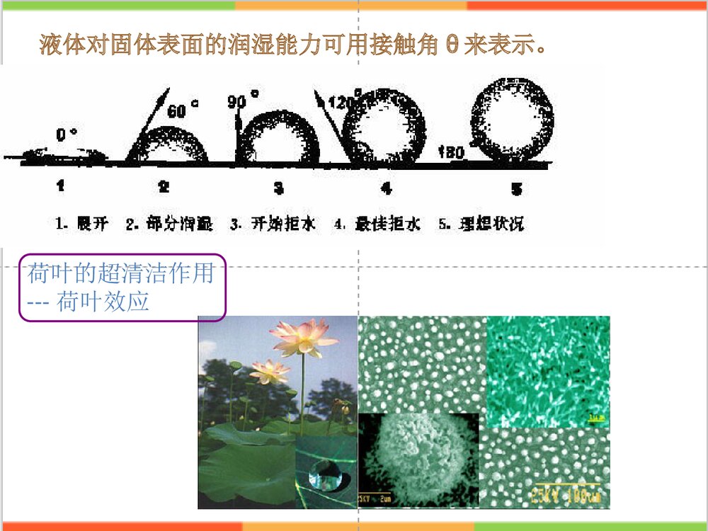 化学与生活日用品PPT课件下载5