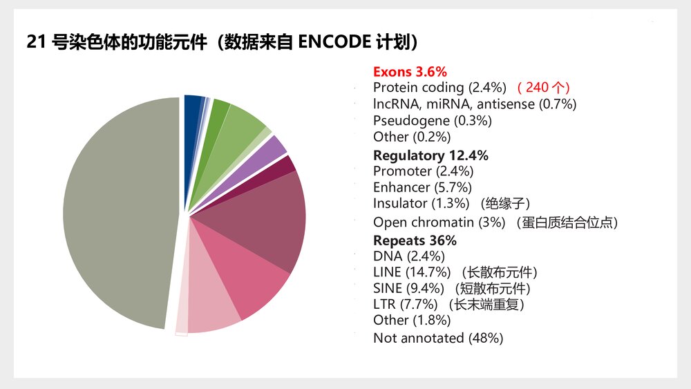 三体综合征分子机制与治疗研究现状PPT课件(共14页)6