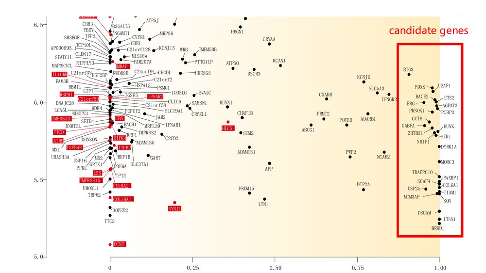 三体综合征分子机制与治疗研究现状PPT课件(共14页)10