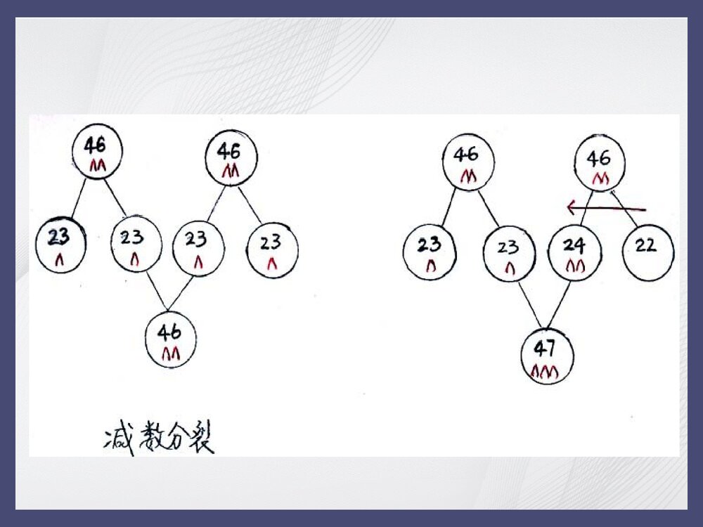 21三体综合征PPT课件下载(共28页·内容可修改编辑)7