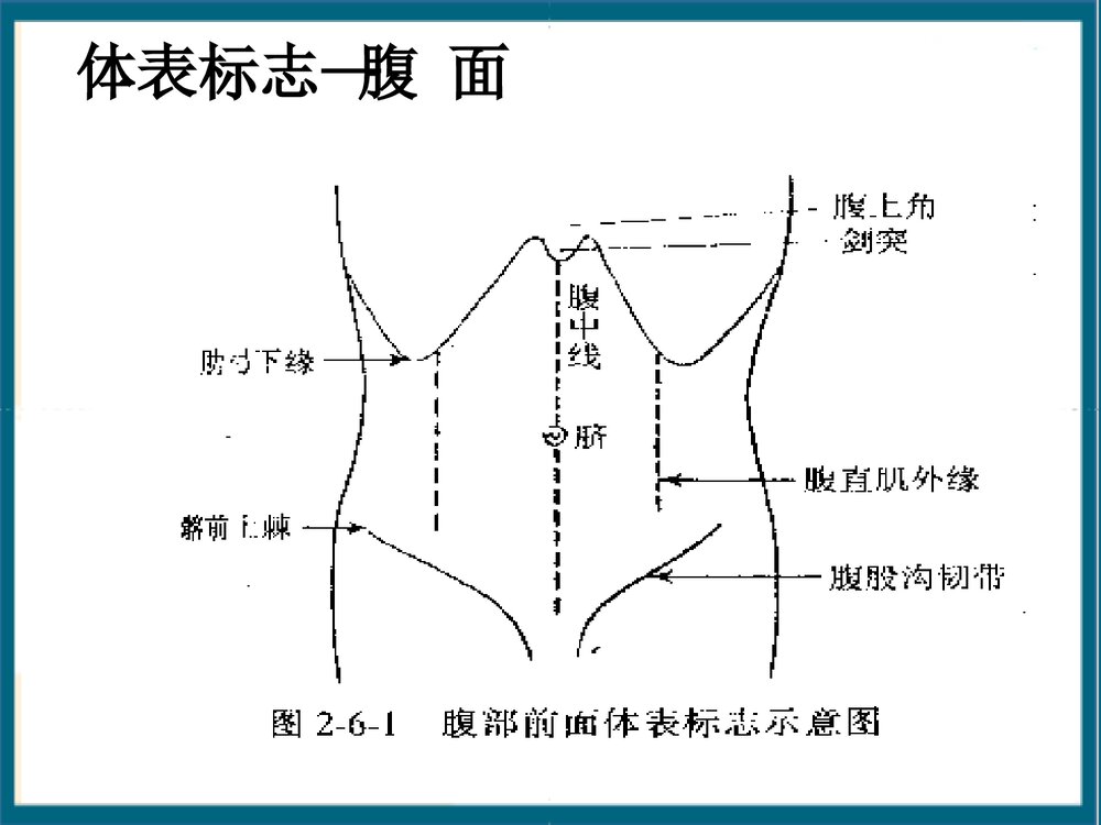 腹部体格检查课件PPT下载5