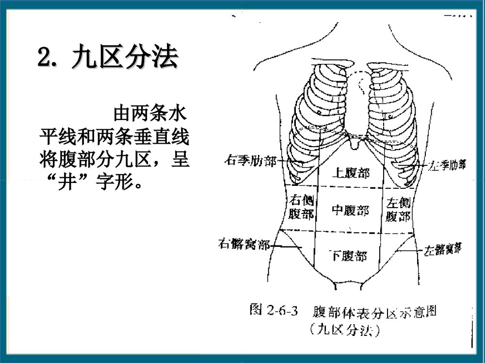 腹部体格检查课件PPT下载9