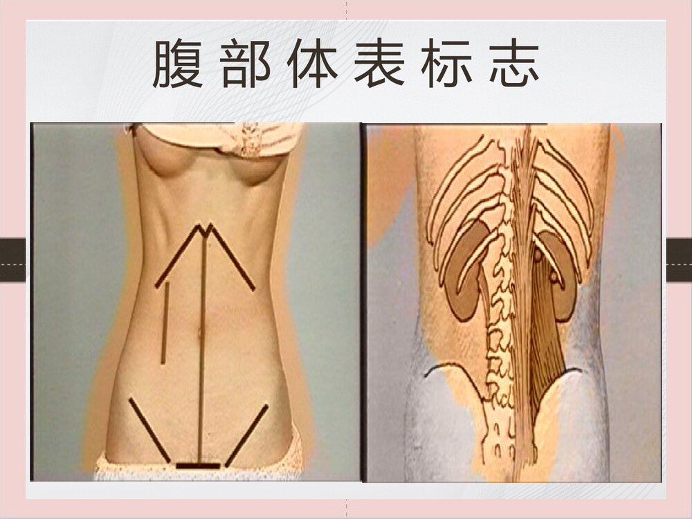 腹部体格检查的课件PPT下载（可编辑修改）3