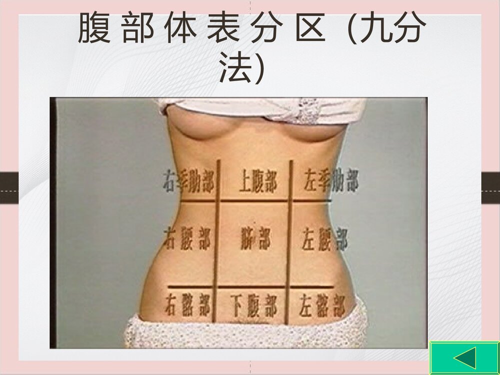 腹部体格检查的课件PPT下载（可编辑修改）5