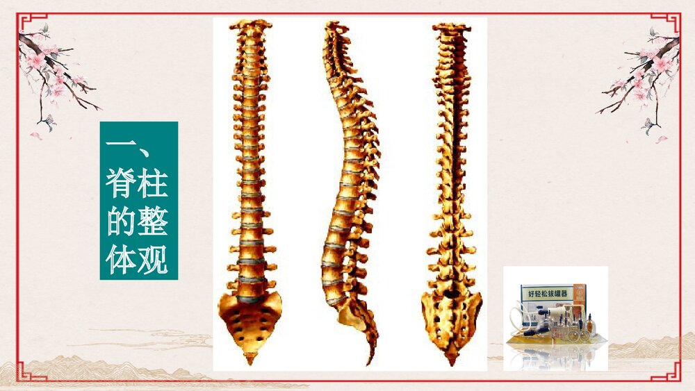 医疗真空拔罐器ppt课件10