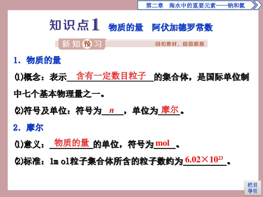 高中化学·第1课时·物质的量的单位——摩尔PPT课件3