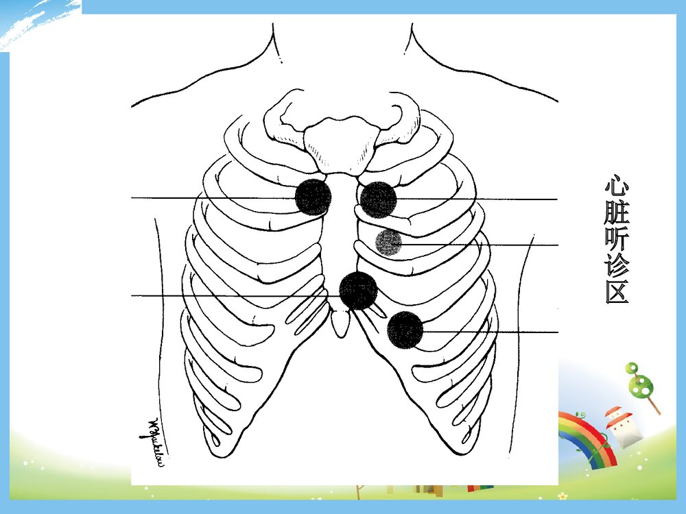 心脏瓣膜病的护理PPT课件下载10