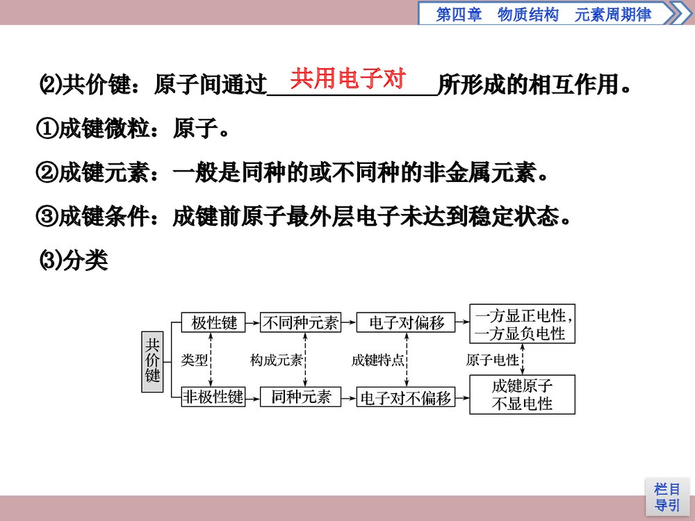 人教版高中化学必修一《4·3 化学键 物质结构元素周期律》(第2课时共价键)PPT课件5