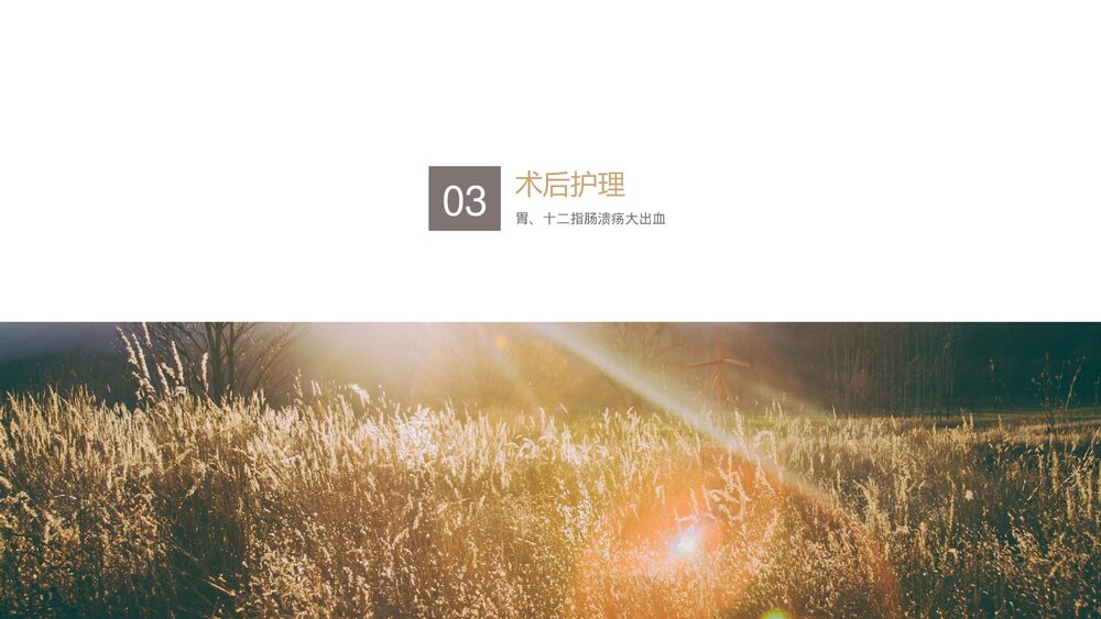 胃十二指肠溃疡大出血术前术后护理PPT课件下载9