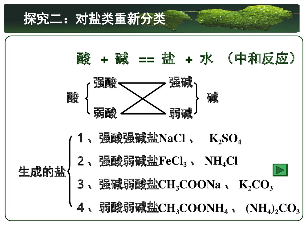 人教版化学选修4 第三章水溶液中的离子平衡第三节盐类的水解PPT课件5