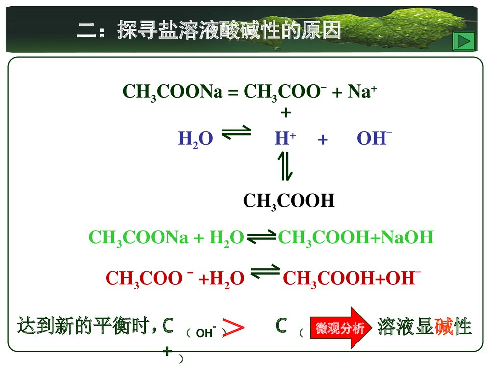人教版化学选修4 第三章水溶液中的离子平衡第三节盐类的水解PPT课件7