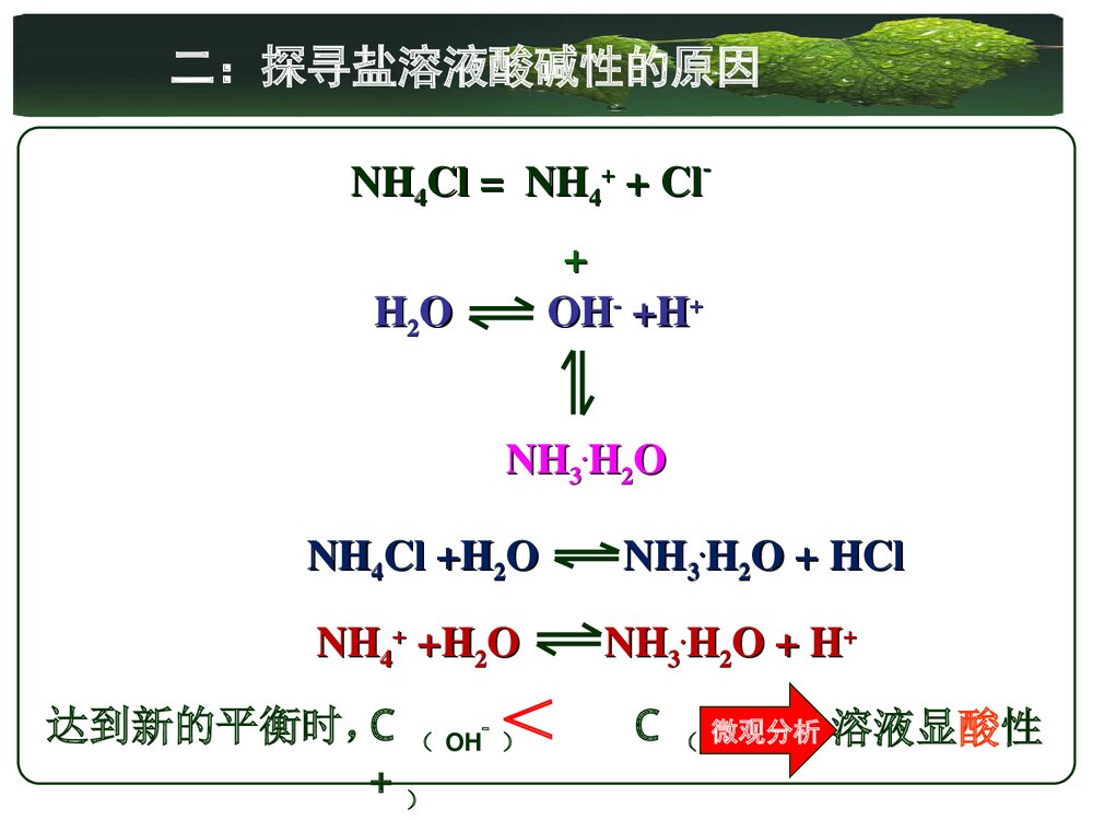 人教版化学选修4 第三章水溶液中的离子平衡第三节盐类的水解PPT课件8