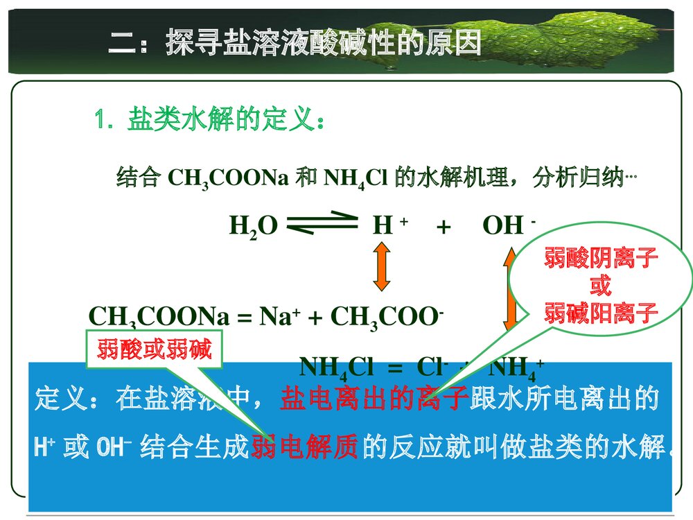 人教版化学选修4 第三章水溶液中的离子平衡第三节盐类的水解PPT课件9