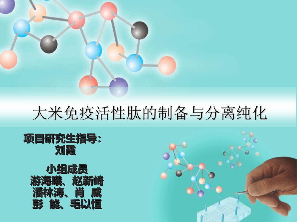 大米免疫活性肽的制备与分离纯化PPT课件下载1