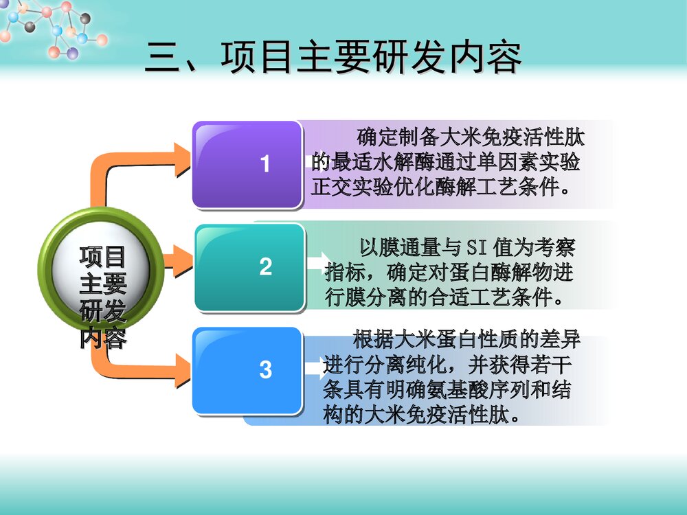 大米免疫活性肽的制备与分离纯化PPT课件下载6
