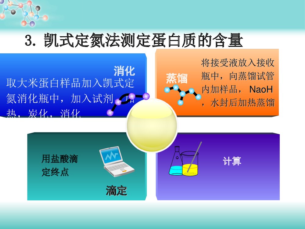 大米免疫活性肽的制备与分离纯化PPT课件下载10