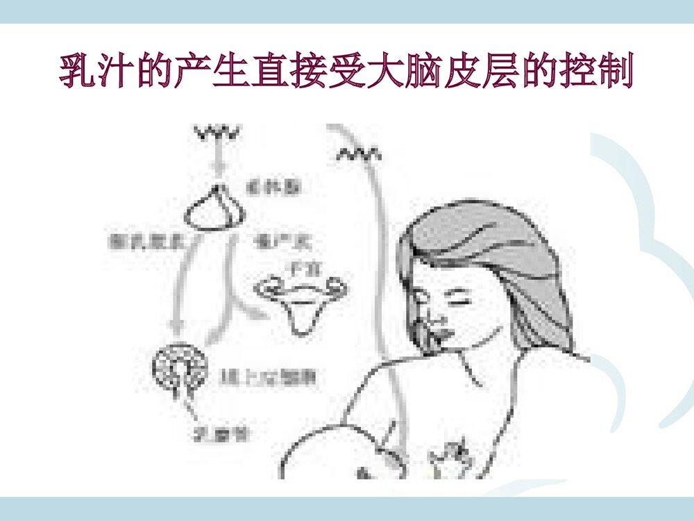 母乳喂养的好处PPT课件下载9