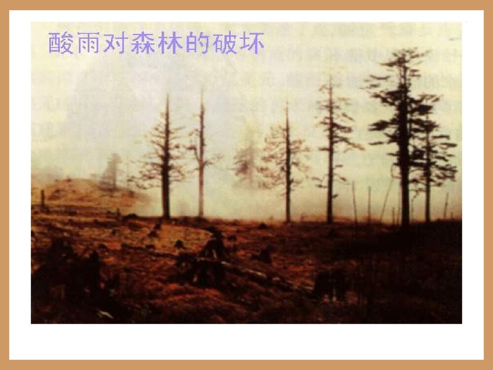 初中化学绪言·化学·人类进步的关键PPT课件下载10