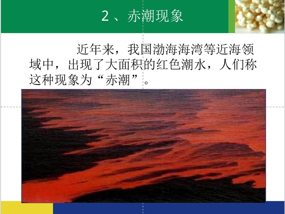 化学科技与生活PPT课件下载6