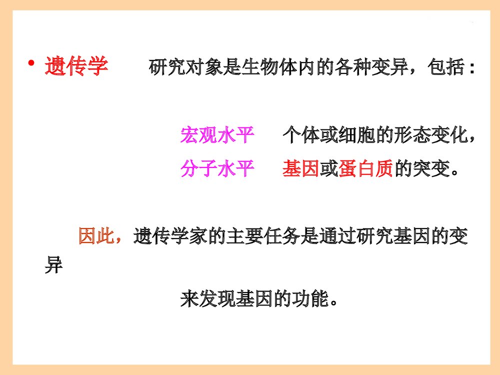 化学与生物PPT课件下载4