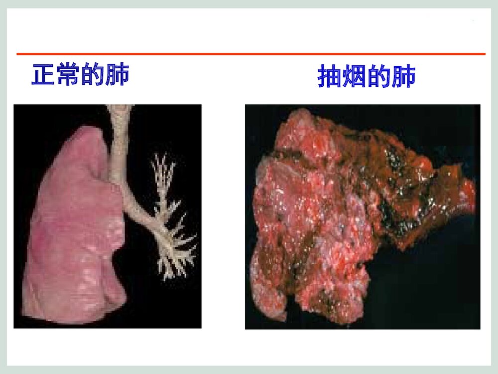 日常生活中的化学PPT课程课件下载7
