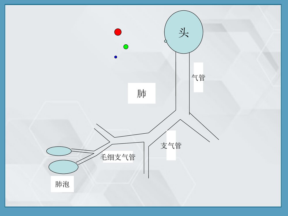 尘肺的病因、发病原理及防治PPT课件下载8