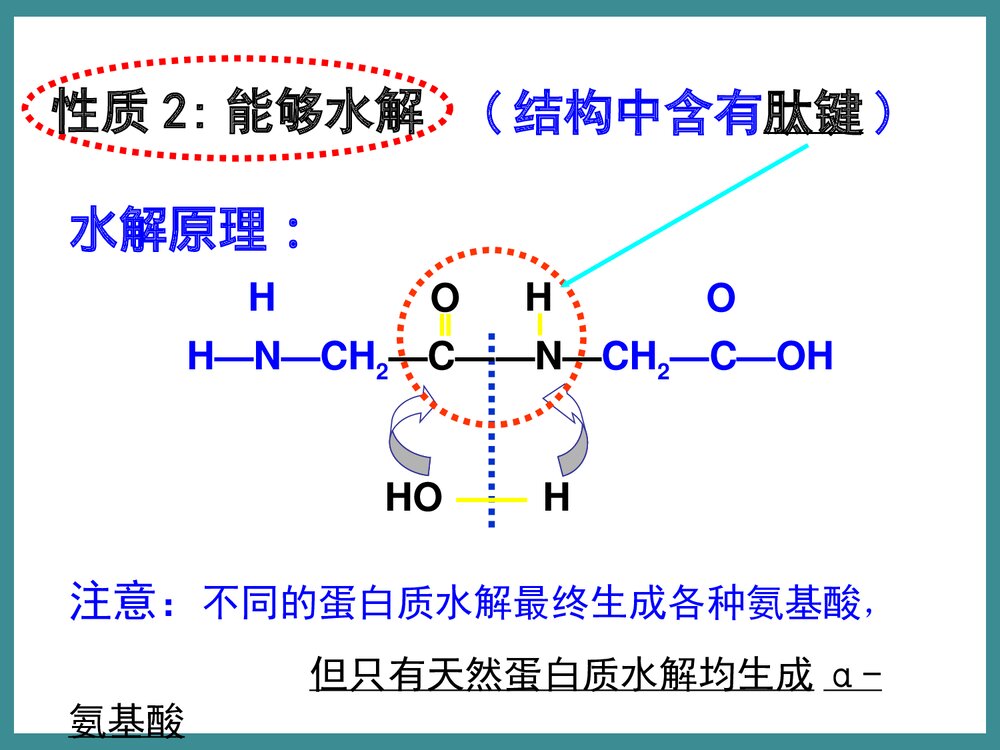苏教版化学选修五《第二单元 氨基酸 蛋白质 核酸》教学PPT课件5