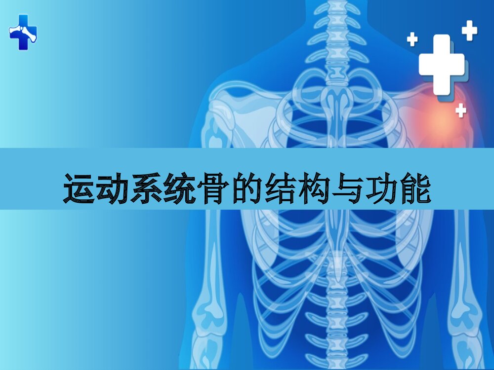 运动系统骨的结构与功能PPT课件(共42页)1