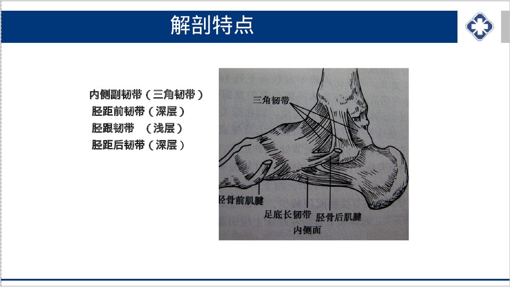 踝关节骨折的护理PPT课件下载8
