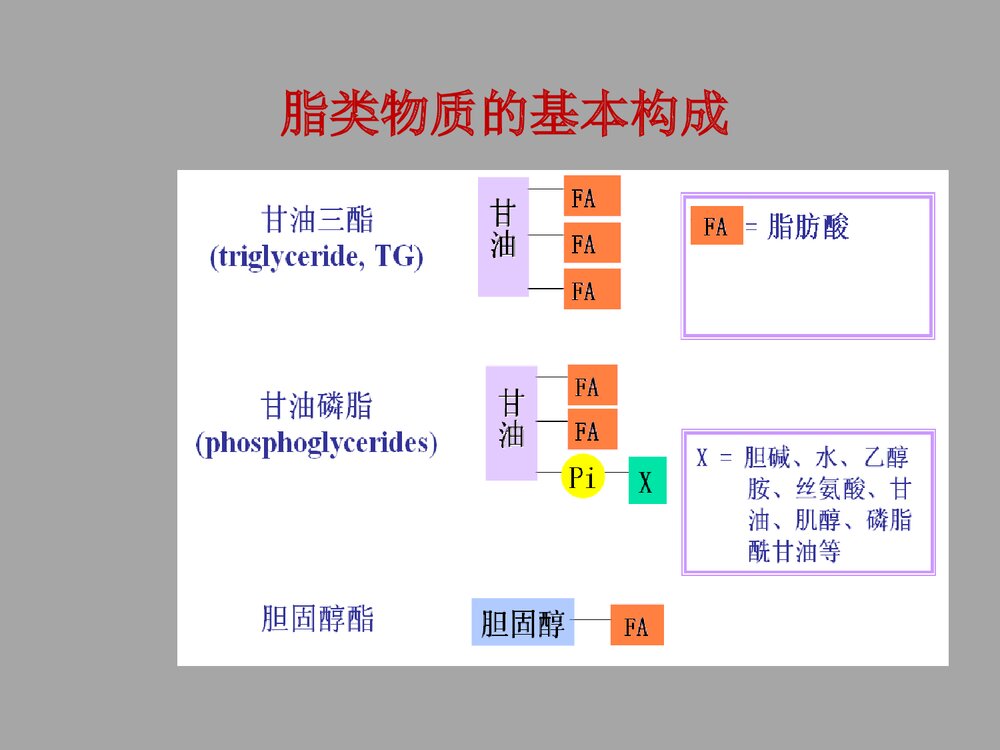 临床生物化学与分子生物学 第七章 脂类代谢PPT课件5