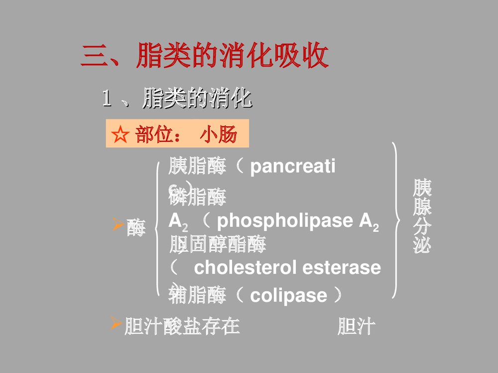 临床生物化学与分子生物学 第七章 脂类代谢PPT课件9
