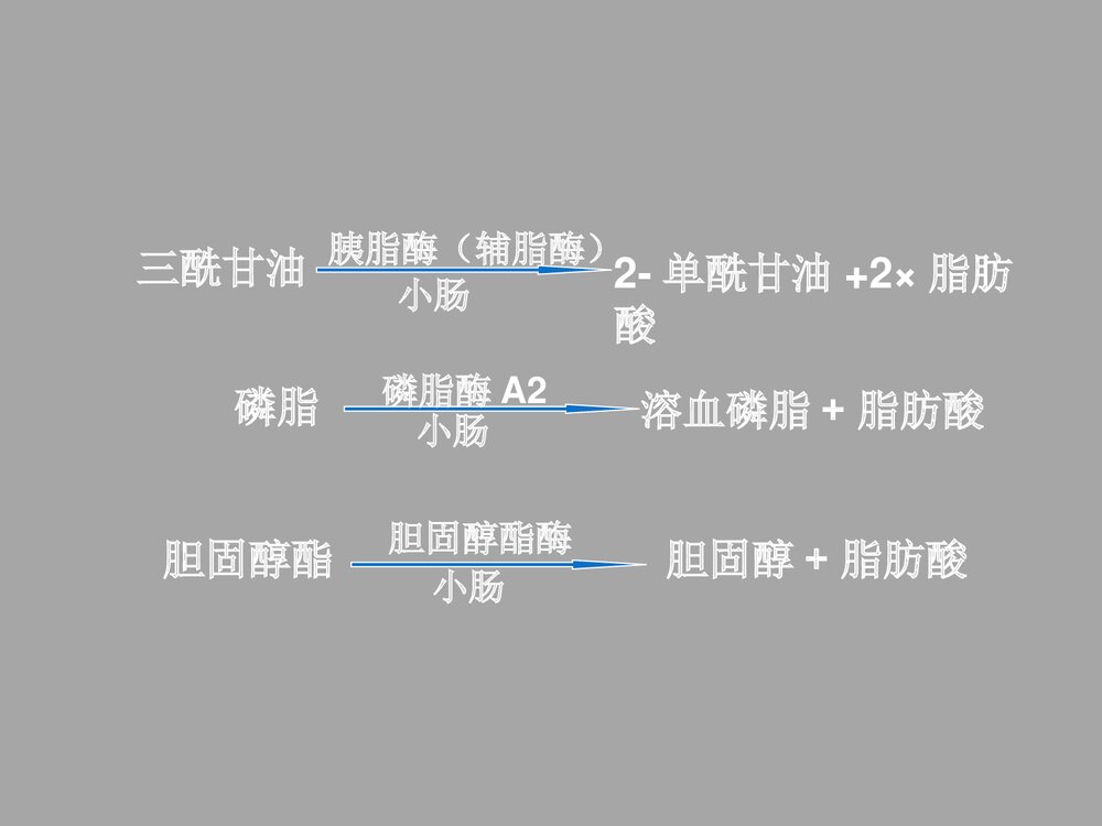 临床生物化学与分子生物学 第七章 脂类代谢PPT课件10