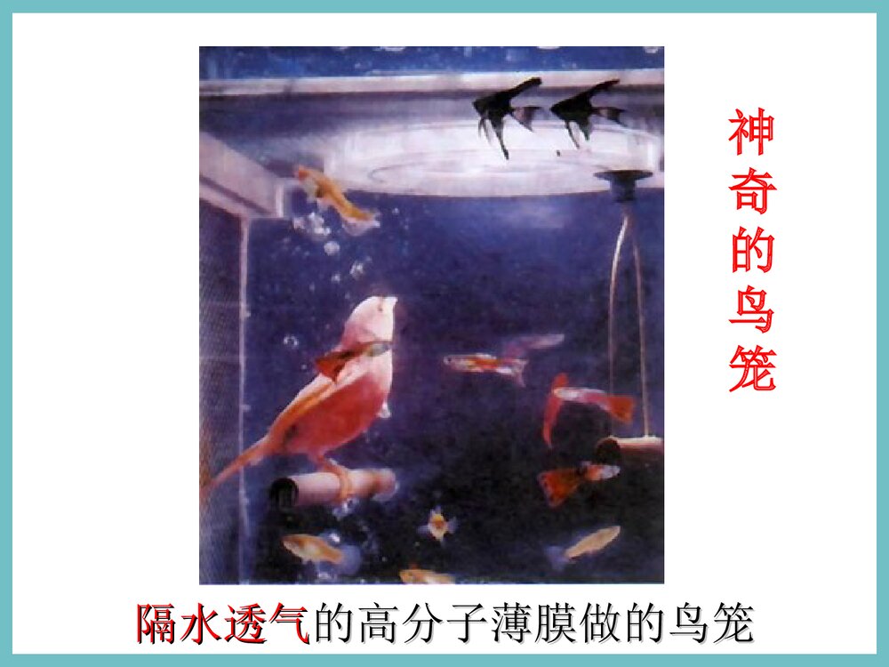 九年级化学序言·化学使世界变得更加绚丽多彩PPT课件6