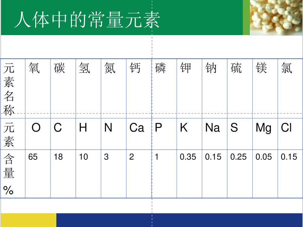 食品营养与化学PPT课件下载5