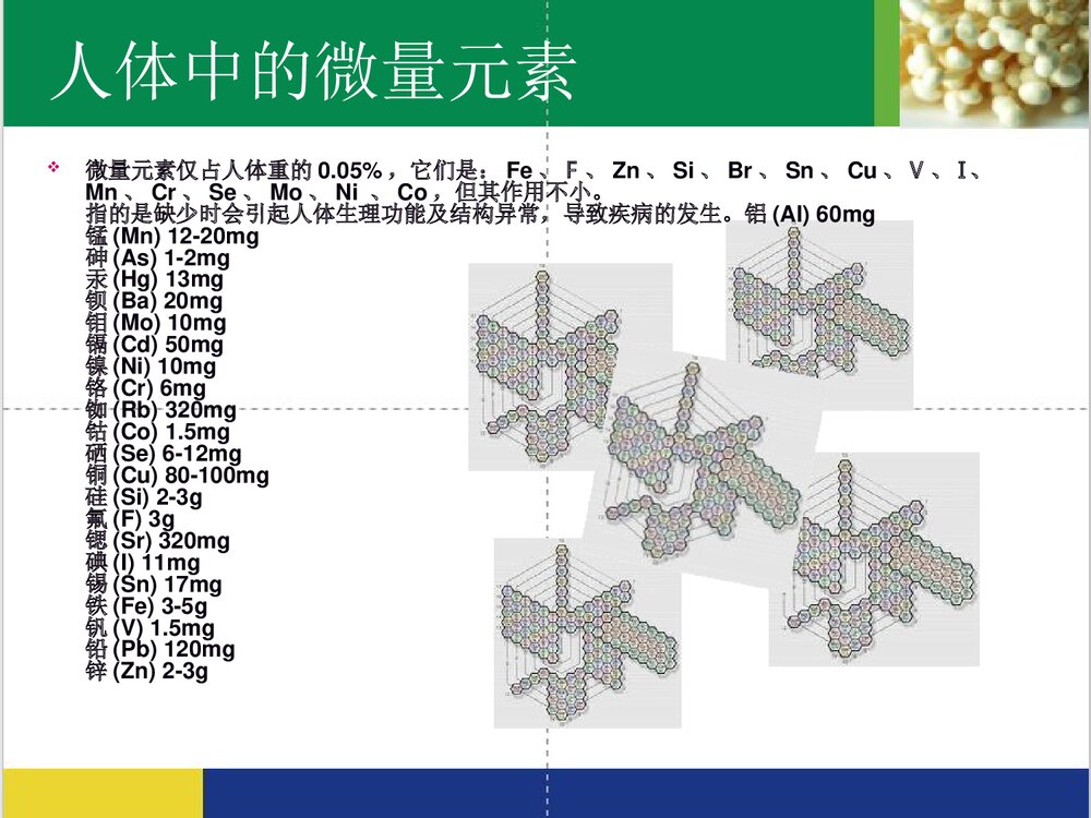 食品营养与化学PPT课件下载6