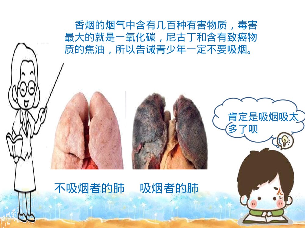 初中化学蛋白质PPT课件下载9