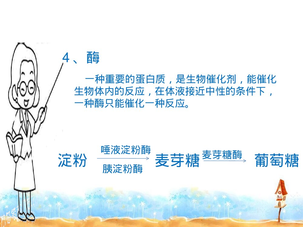 初中化学蛋白质PPT课件下载10