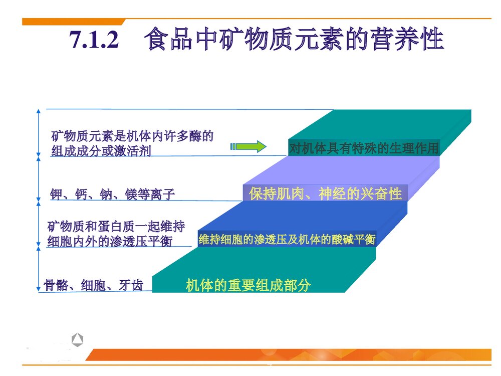 食品化学第7章·矿物质PPT课件下载7