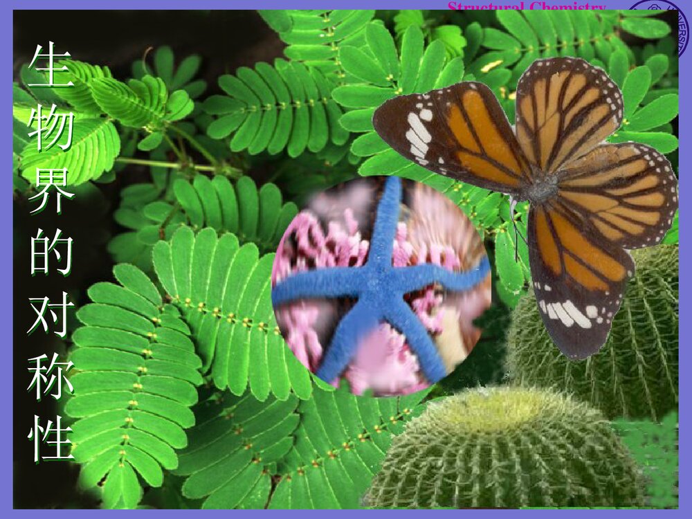 结构化学基础《第四章 分子对称性》PPT课件下载6